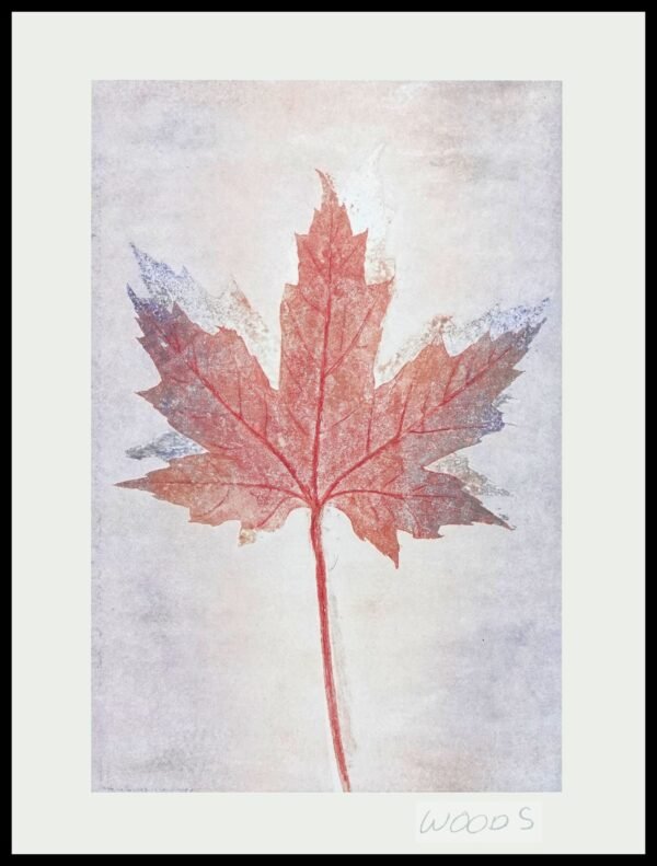 DNA WSP205 Oak Leaf Vi